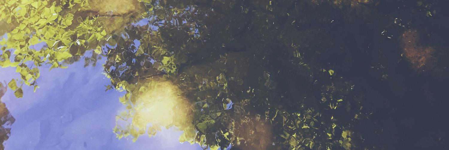 Gillis Bernard banner