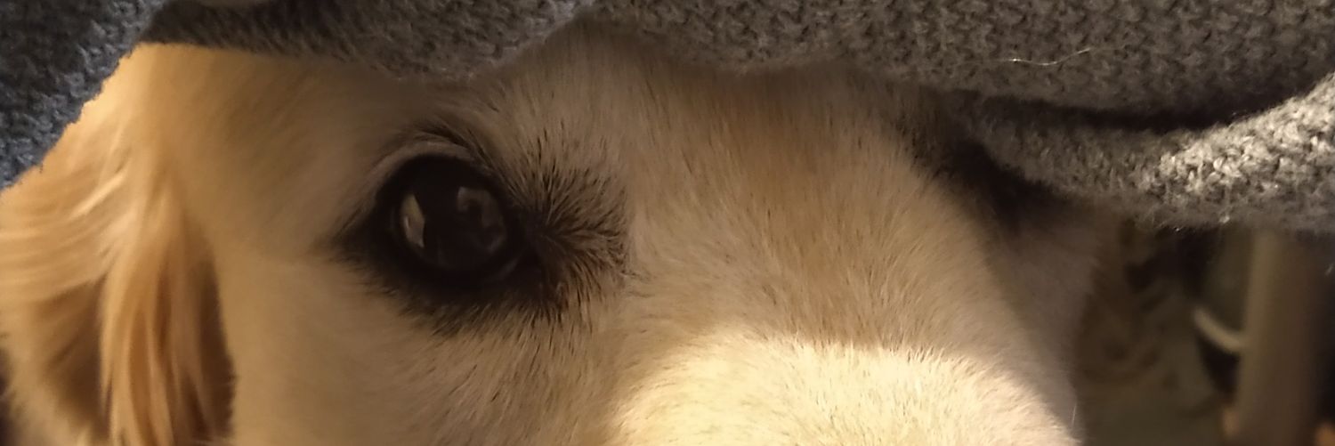 Capitán Will Moran 📝1 🐦3 ⚔️3 banner