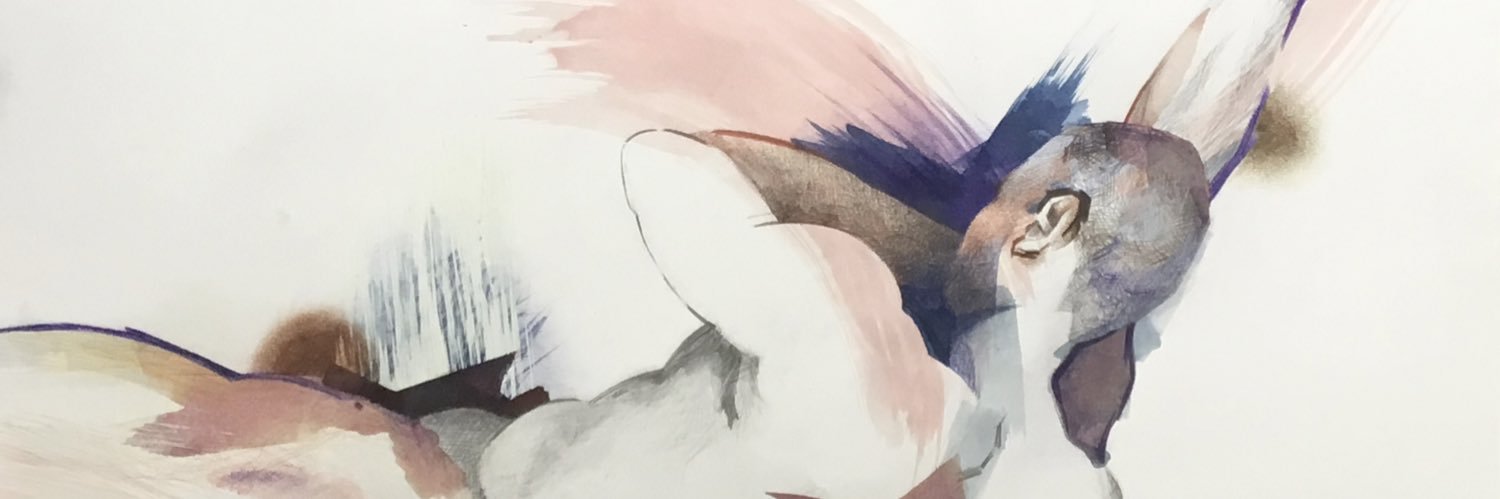 bakerS1977's profile banner image