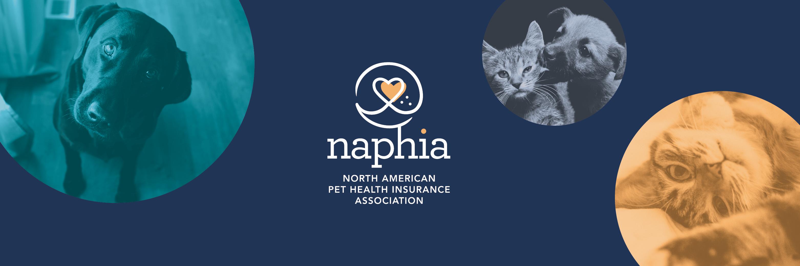 NAPHIA banner