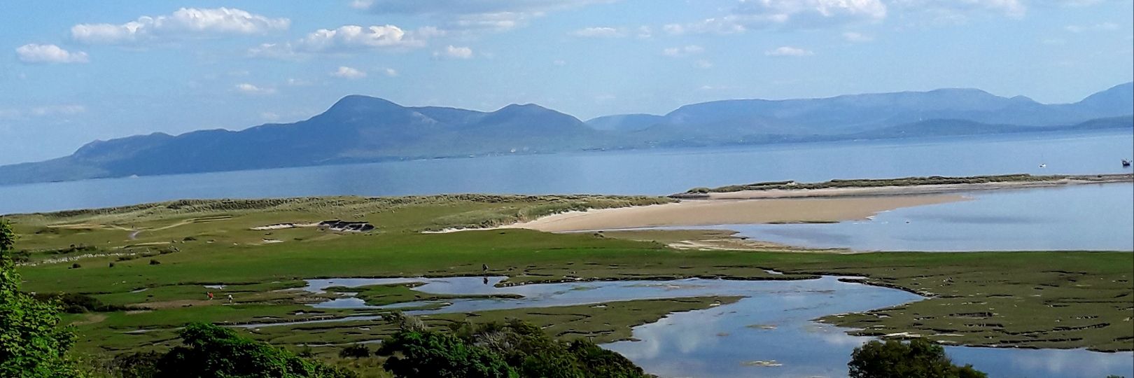 Mar Cafferkey banner