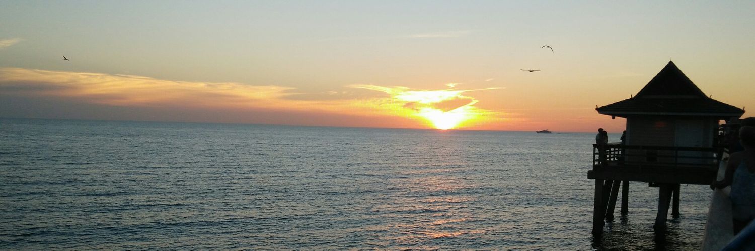 Shephalisingh's profile banner image
