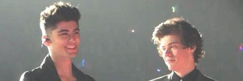 thezarrythings's profile banner image