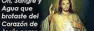ROSY TREJO banner