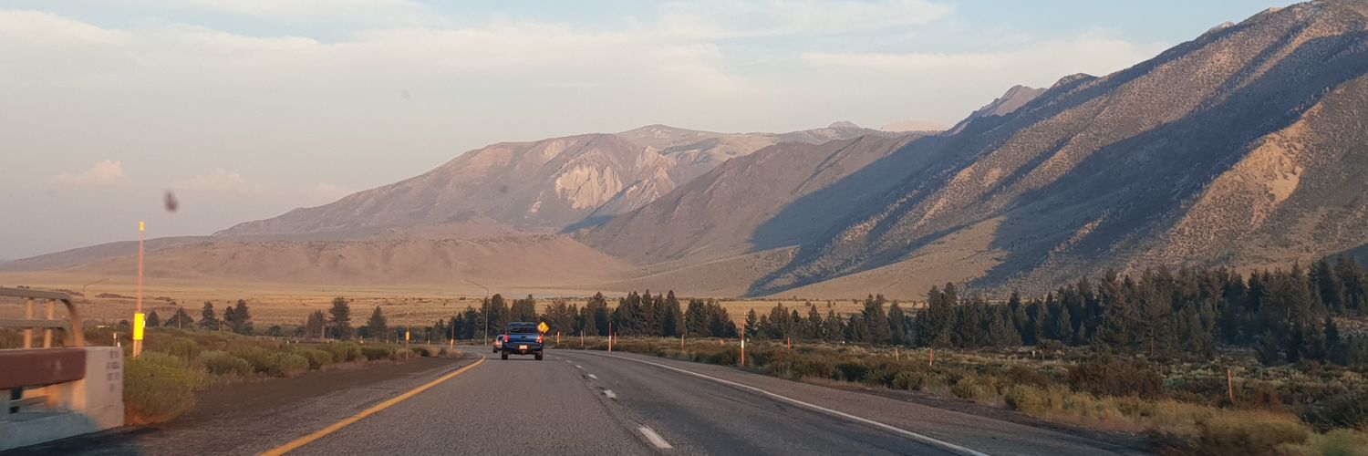 DougieSweeney banner