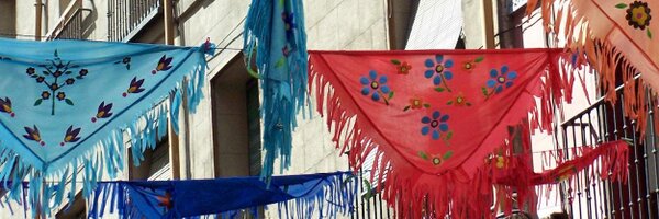RosaSenCis Profile Banner