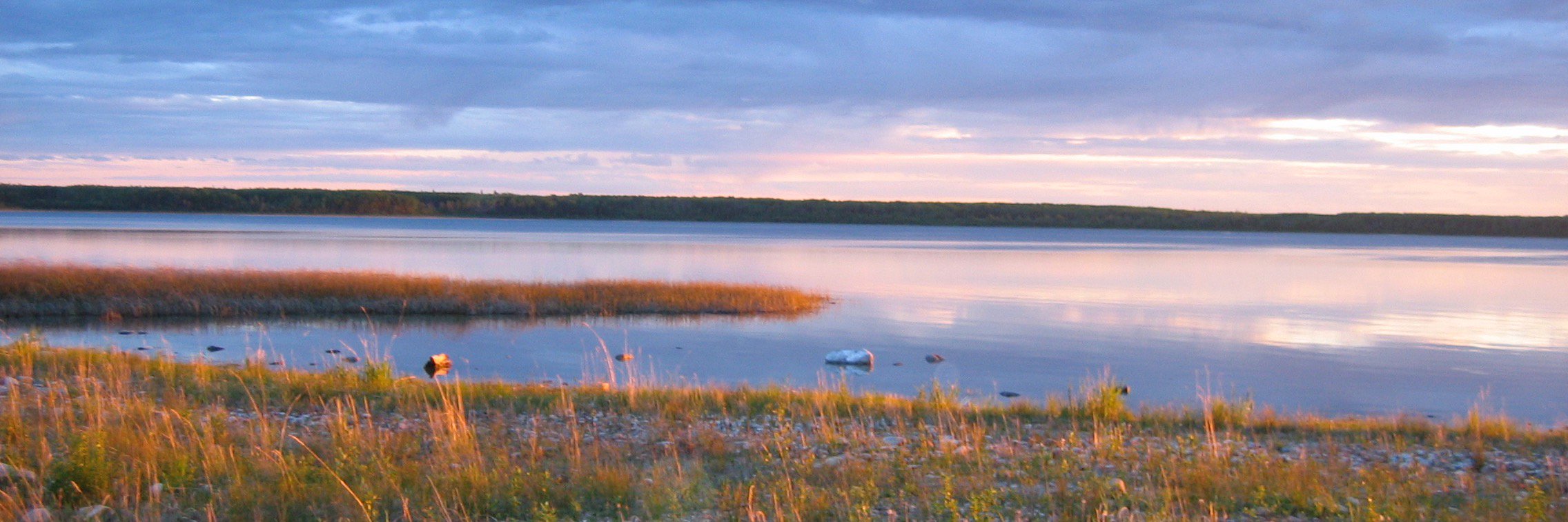 Jackie Ratkovic banner