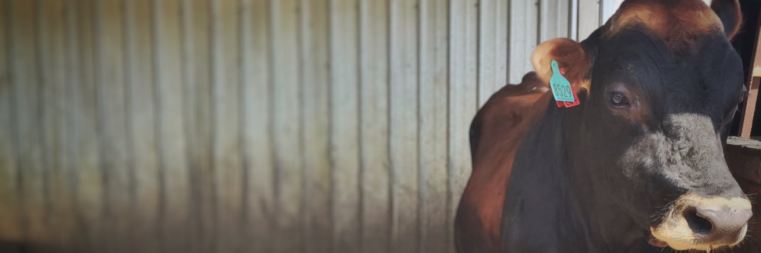 jeeva_bunyi_loceng banner