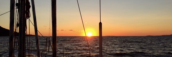 petogy Profile Banner