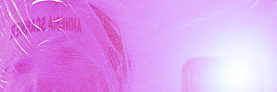 amnesiascanner's profile banner image