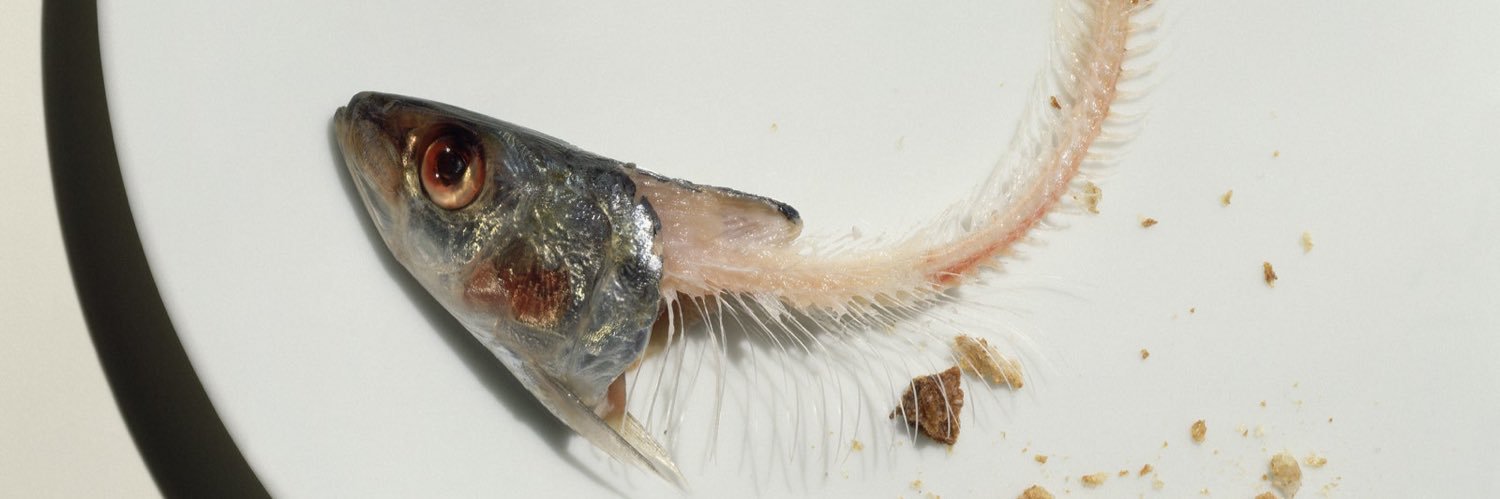 hog water backwoods rat person's banner