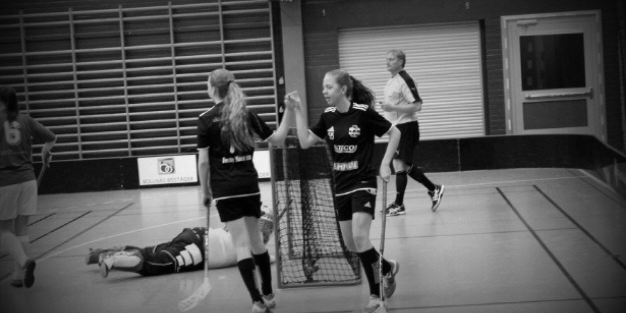 fridahellgren's profile banner image