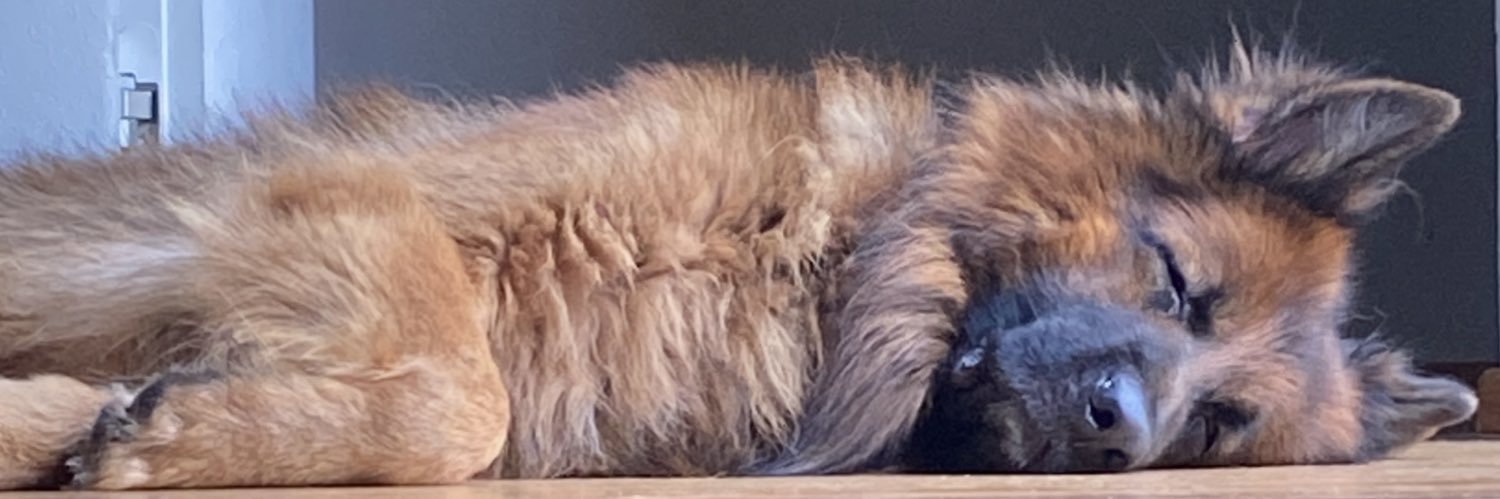 manubazzi13's profile banner image