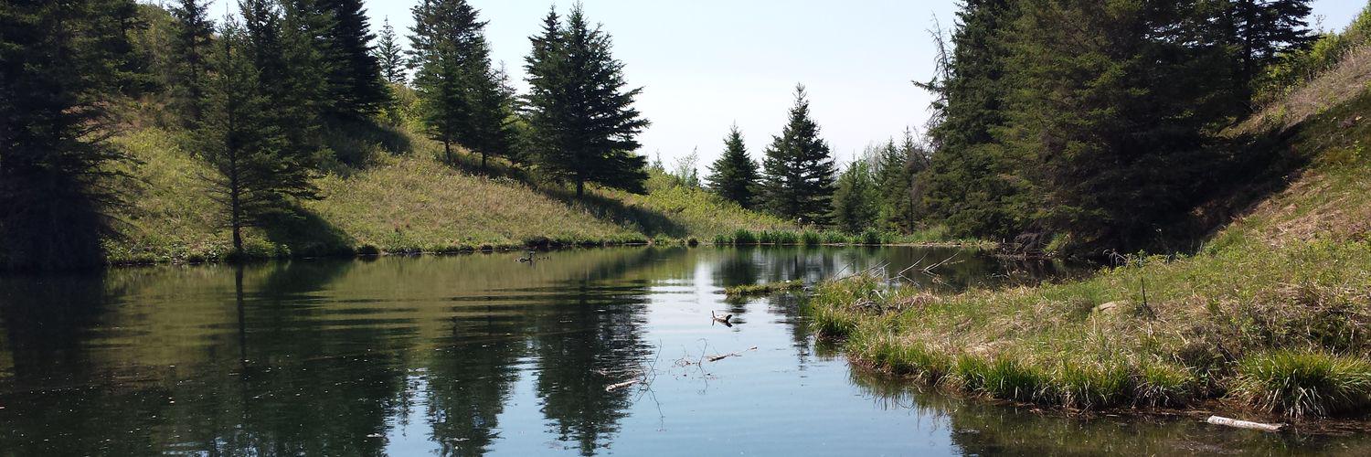 Rebekah_Neufeld's profile banner image