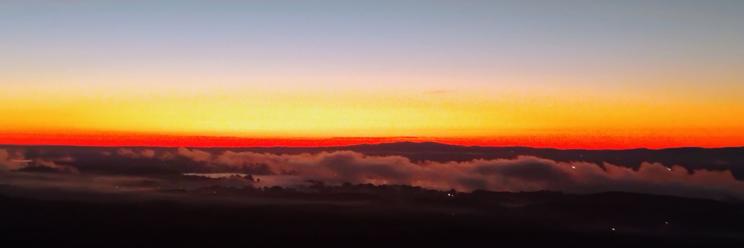 tredizzle47's profile banner image