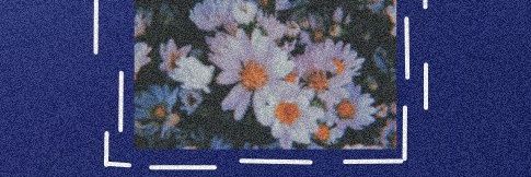 nydapoxxy's profile banner image