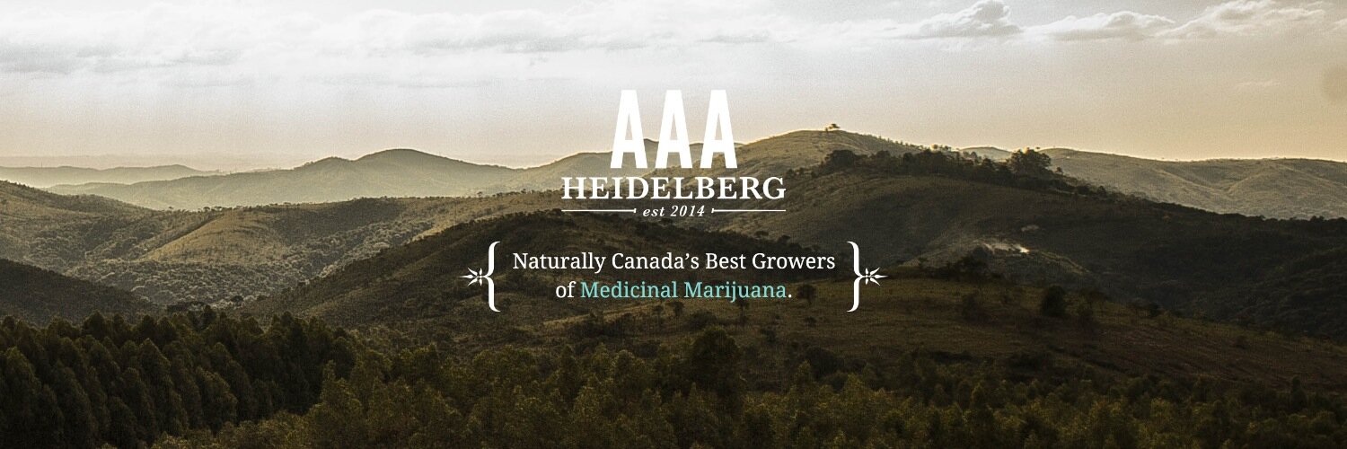 aaaheidelberg's profile banner image