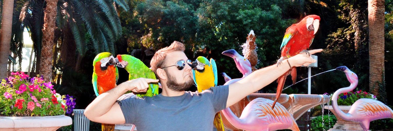 indigognat's profile banner image