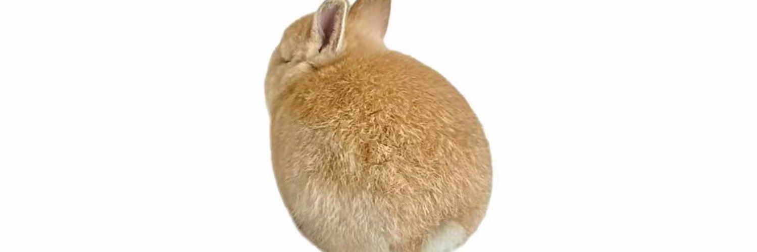 Serhat30303's profile banner image