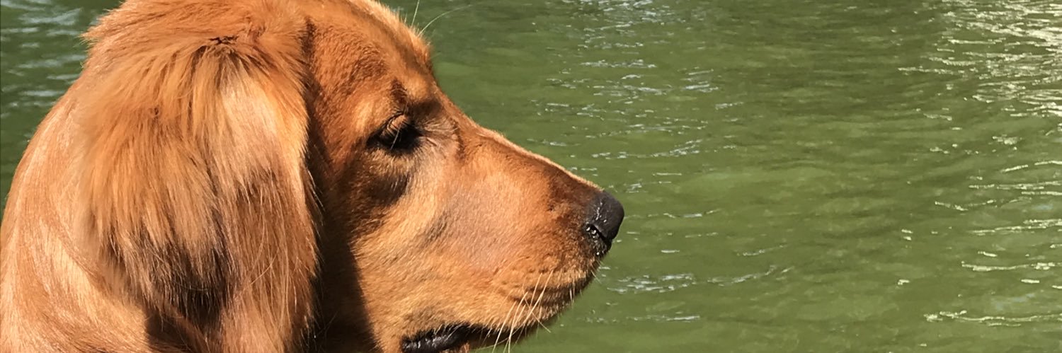 psclemons's profile banner image