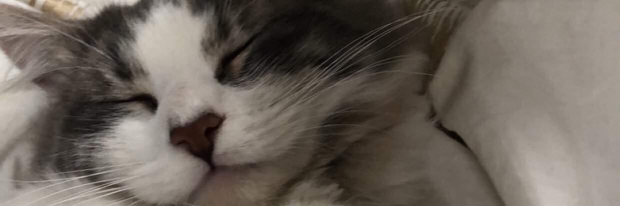 therealgleal's profile banner image