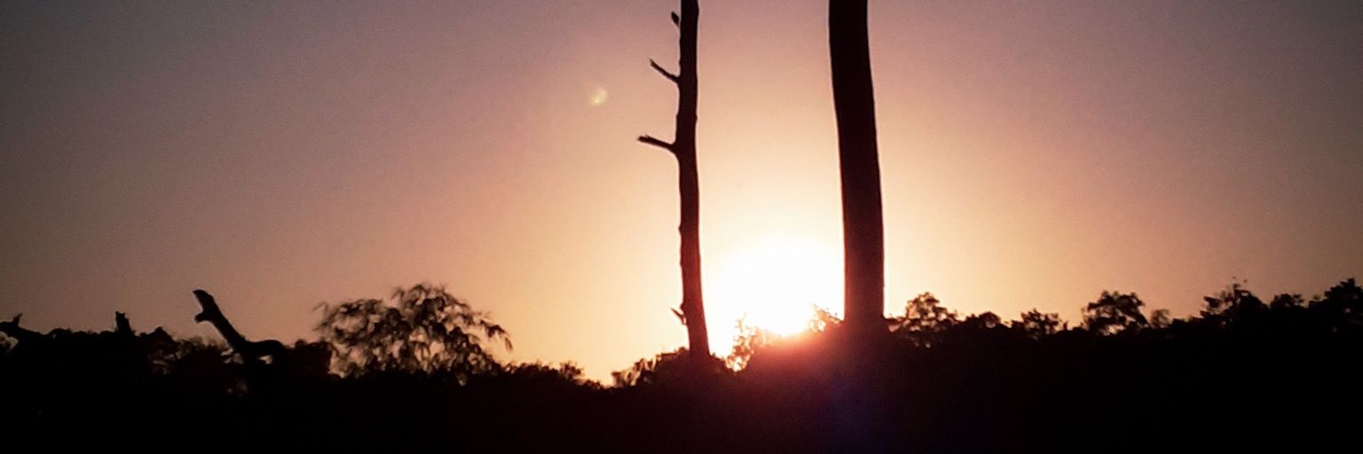 rosiest_'s profile banner image