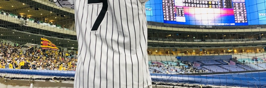 tigerscrazy1127's profile banner image