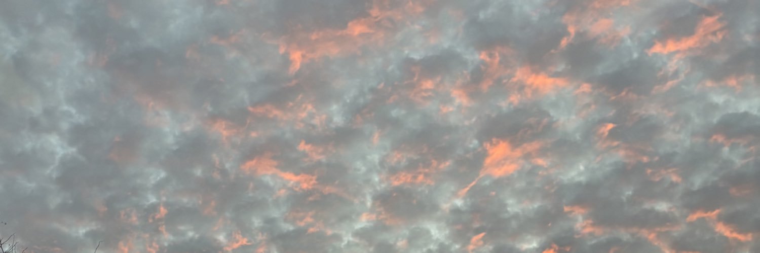 karleemitchell's profile banner image