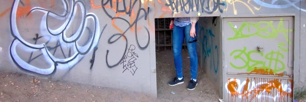 BatSirenMusic's profile banner image