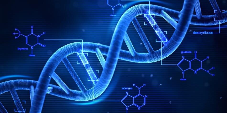 BioGeoGenetics's profile banner image