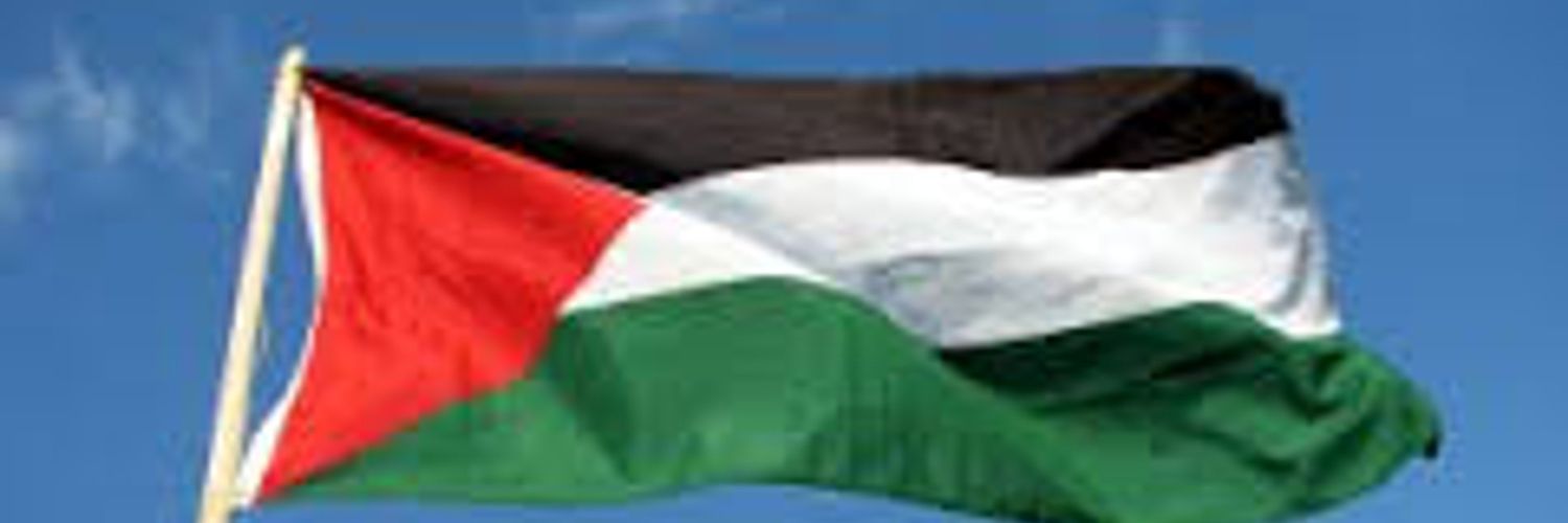 José Pimenta(Cat)🇩🇿🇮🇪jalvespimenta@bsky.social banner