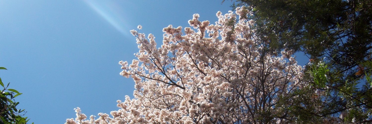 Weeliaomano's profile banner image