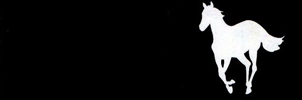 chaincolla's profile banner image