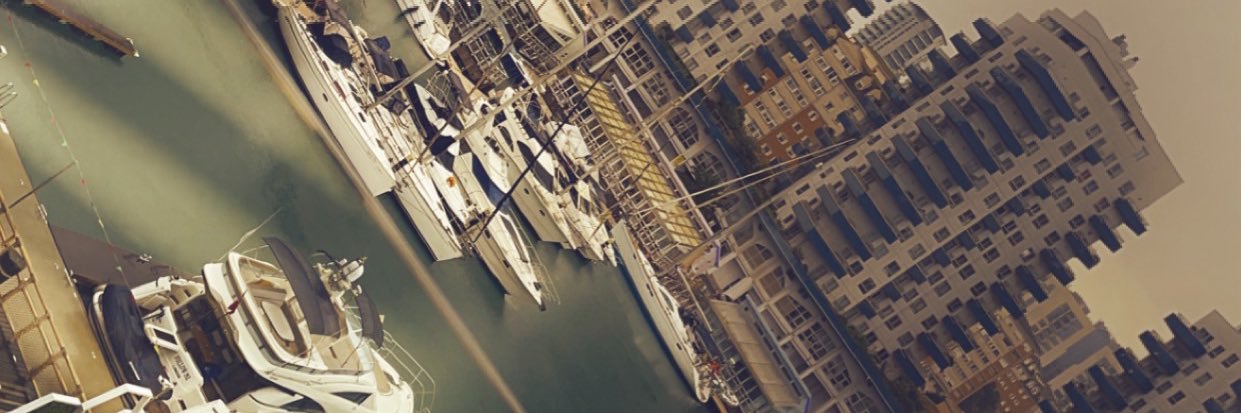 Wale ✨ banner