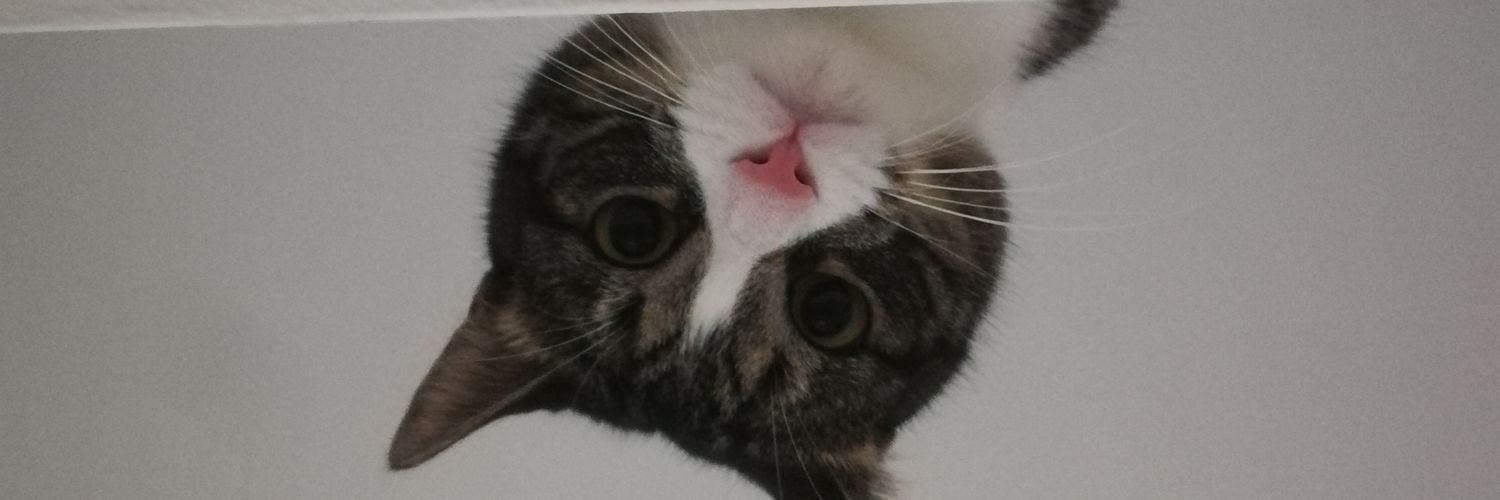 anlluch's profile banner image