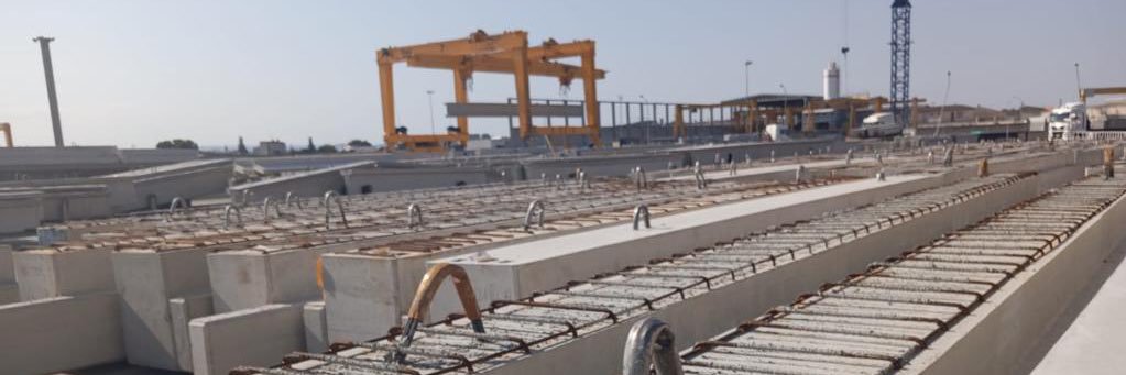 Ester Tort Figa banner