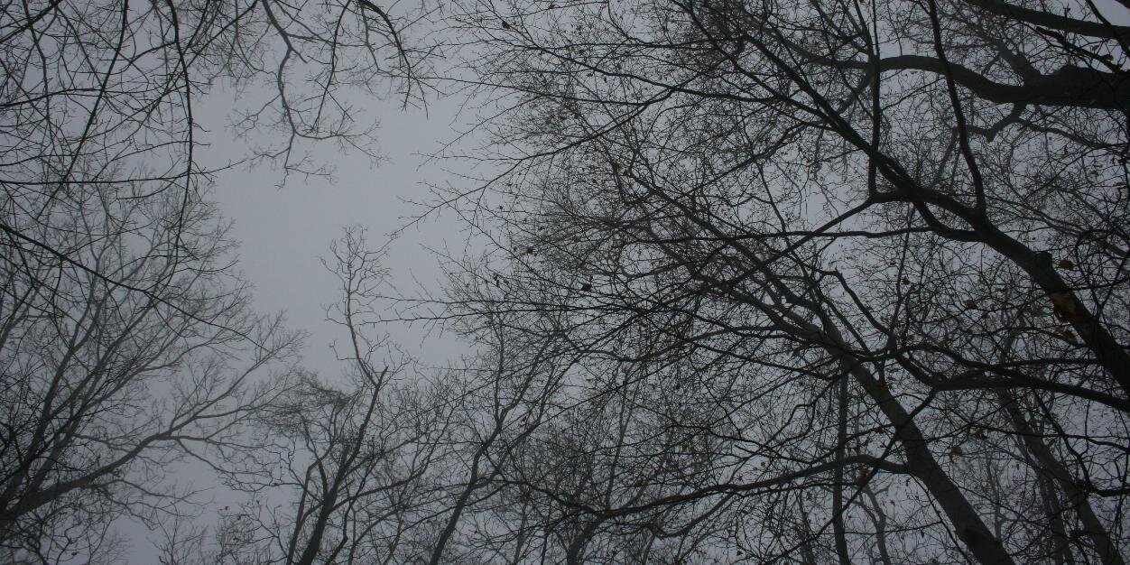 FatedBastard's profile banner image
