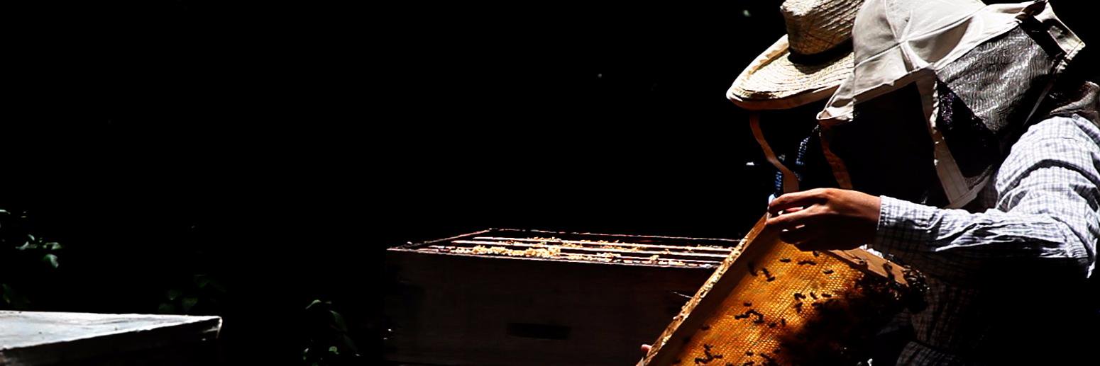 Tylercle's profile banner image