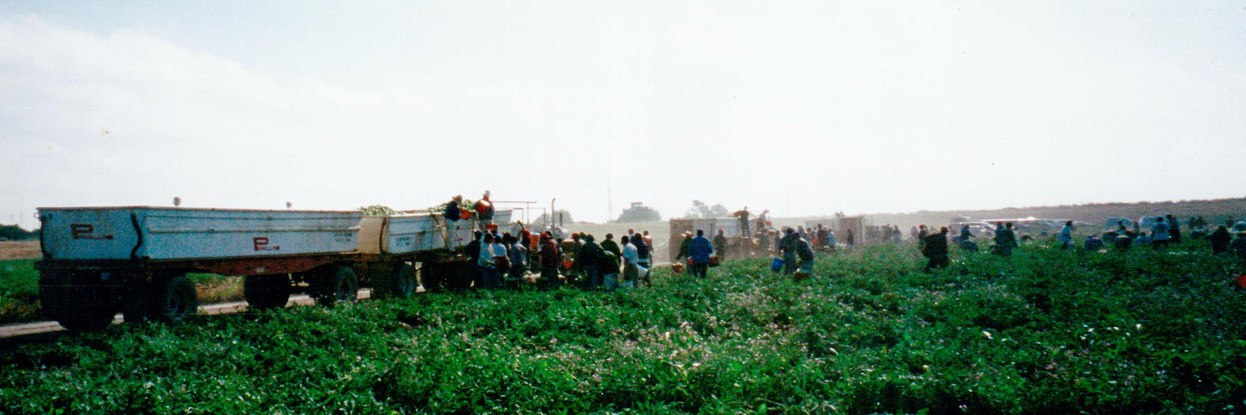 agsynth's profile banner image
