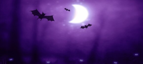 StevenWalling's profile banner image