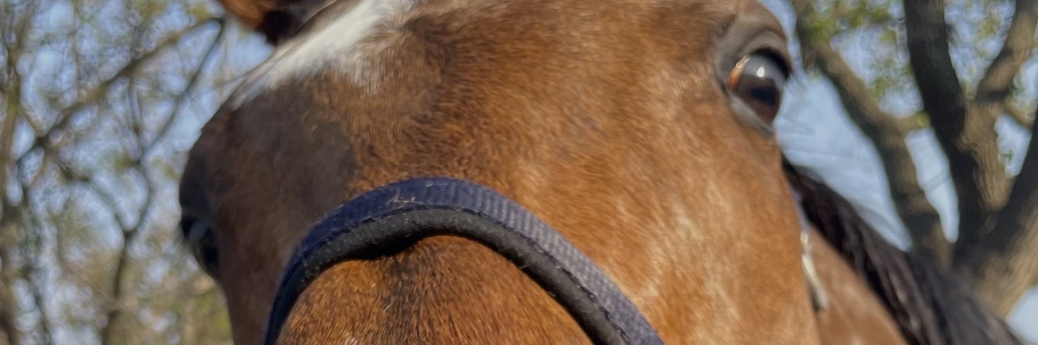 Fati0703's profile banner image