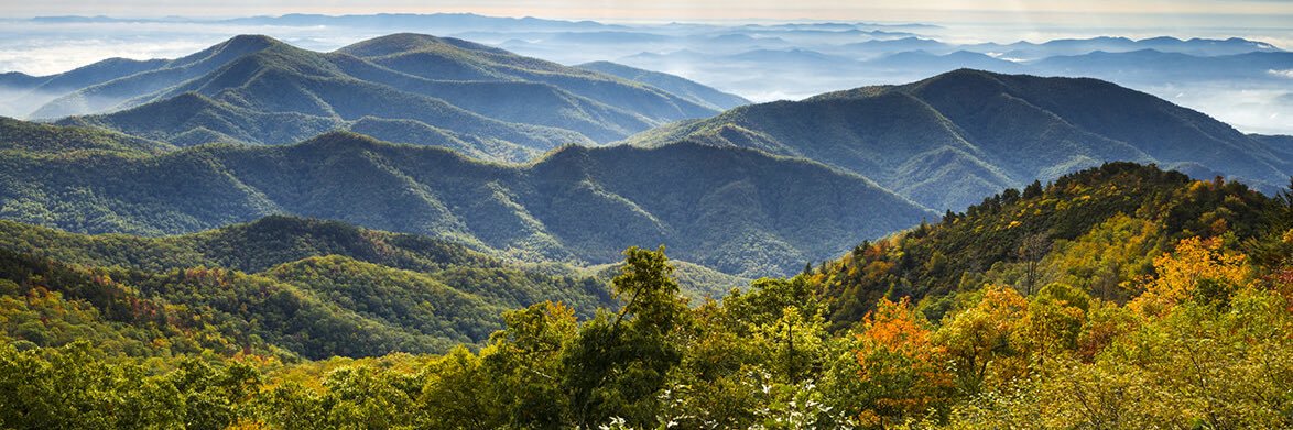 𝗝𝗲𝗳𝗳𝗿𝗲𝘆 ⚓️ banner