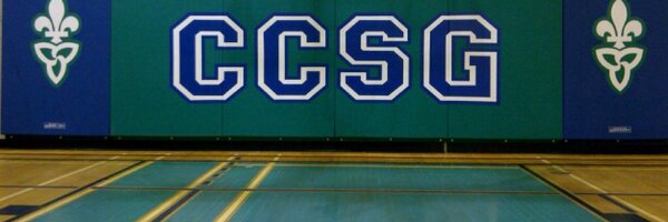 laserccsg Profile Banner
