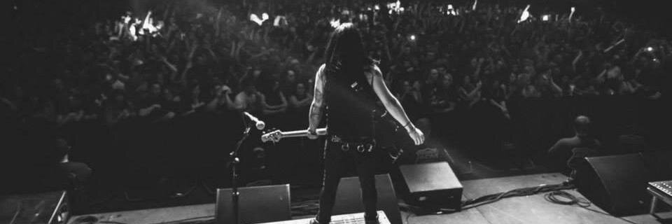 Maxwell Scott Green banner