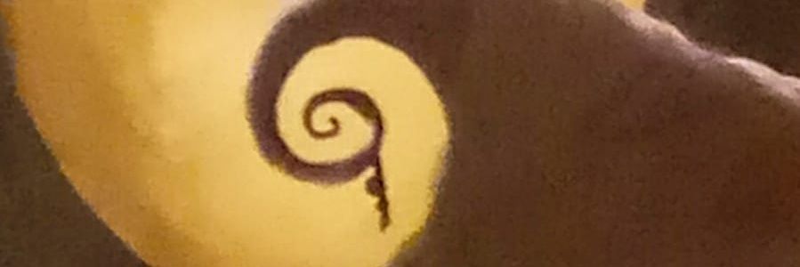 Loli_Morphine's profile banner image
