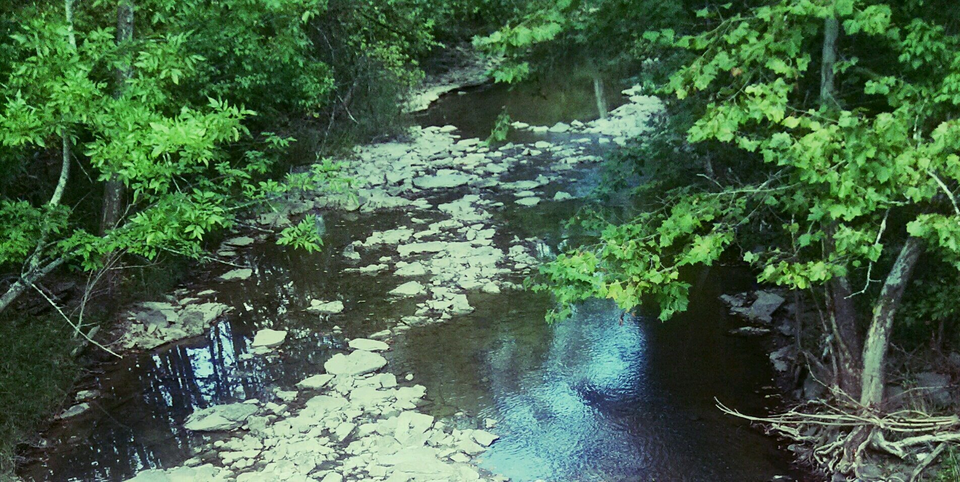 LizCrafters's profile banner image