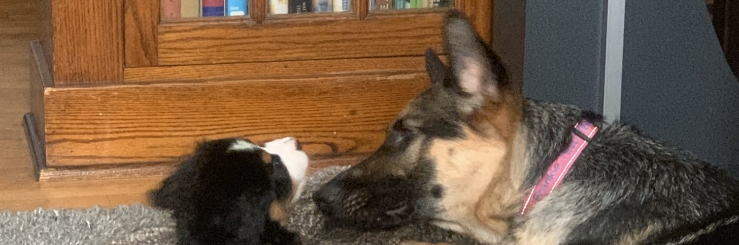 Tommy_Schulz's profile banner image