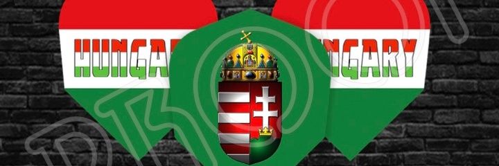 HungarianWolf's profile banner image