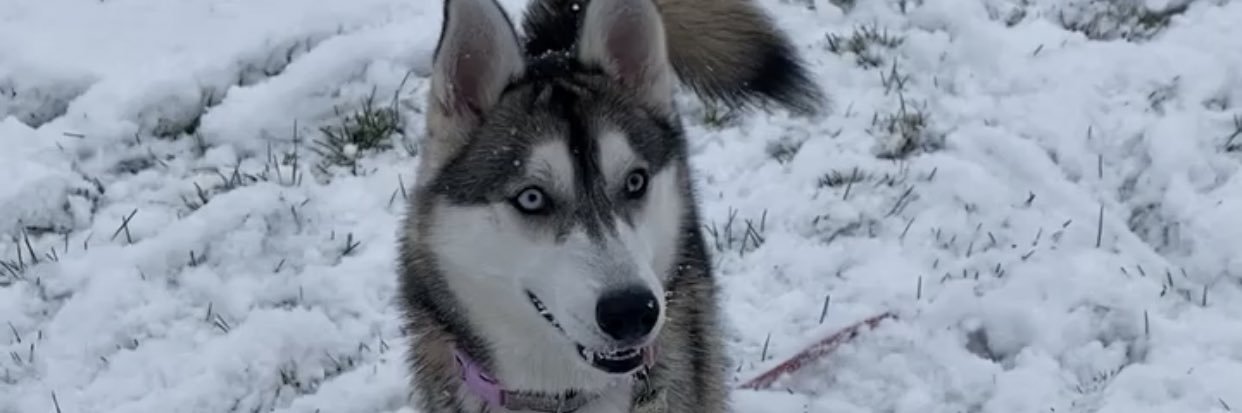 leanrendzz's profile banner image