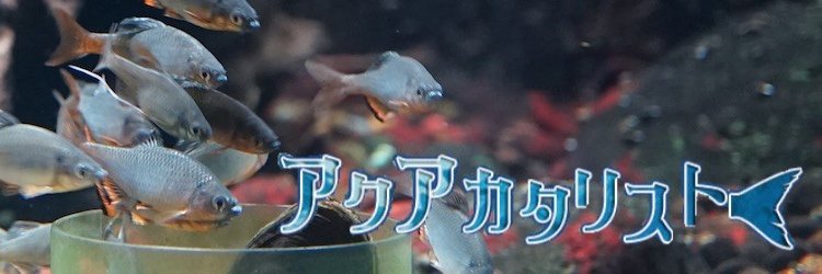 aquacatalyst's profile banner image